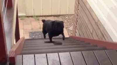 [A] Keep running, I'll get the end, LMAO