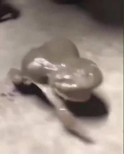 ..... AAAAAAAAAAAAAAAAAAAAAAAAAAAAAAAAAAAAAAAAAAAAAAAAAAAAAAAAAAAAAAAAAAAAAAAAAAAAAAAAAAAAAAAAAAAAAAAAAAAAAAAAAAAAAAAAAAAAAAAAAAAAAAAAAAAAAAAAAAAAAAAAAAAAAAAAAAAAAAAAAAAAAAAAAAAAAAAAAAAAAAAAAAAAAAAAAAAAAAAAAAAAAAAAAAAAAAAAAAAAAAAAAAAAAAAAAAAAAAAAAAAAAAAAA