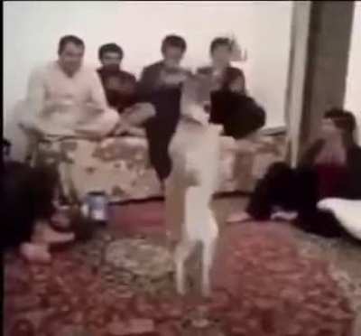 🐩