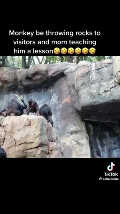 Balkans in the zoo?