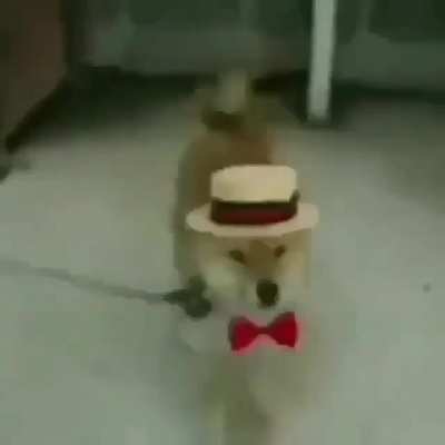 Siiiii