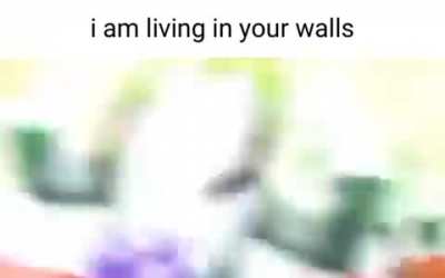 bruh