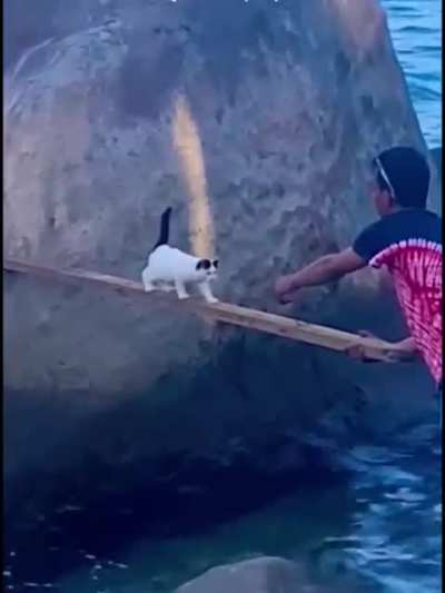 He’s gonna regret that for the rest of his life.