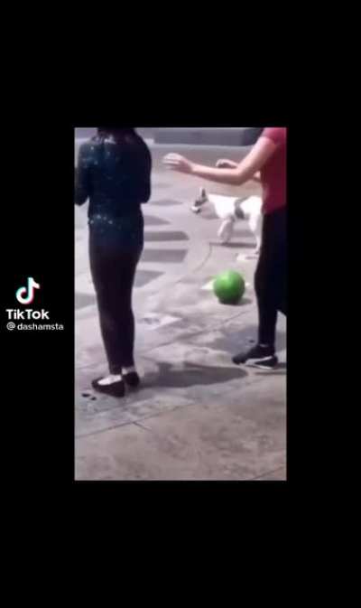 Do a flip