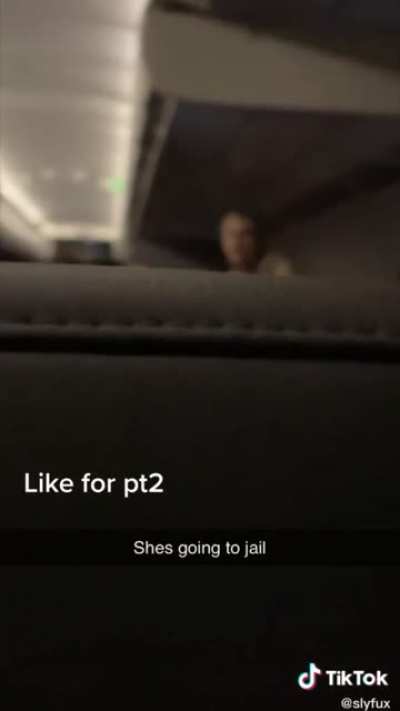 Another lady is added to the prestigious “No-Fly List”