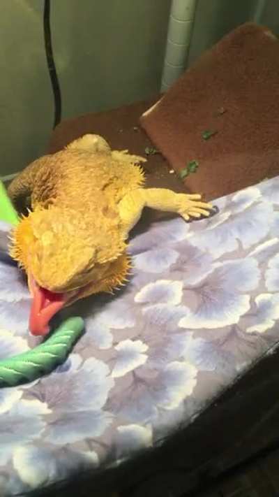 MONCH >:V
