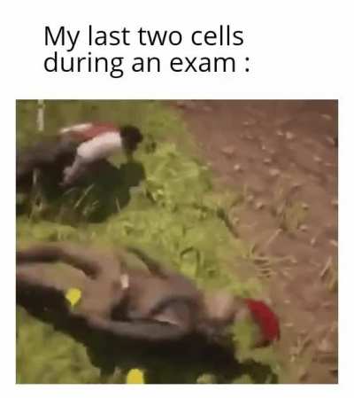 Im bad at school
