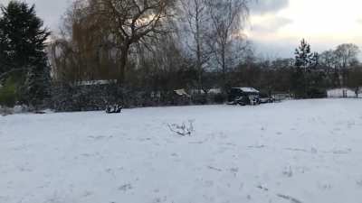 OK, a chicken walking around in the snow, no big deal, but then.....oh wow
