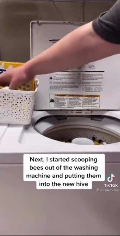 The Bee Lady