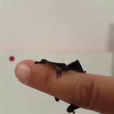 Tiny Doom