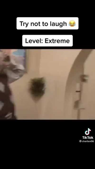 me irl