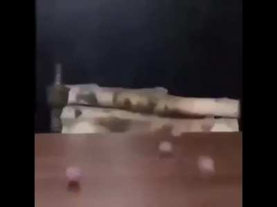 shitposting - Video #3931