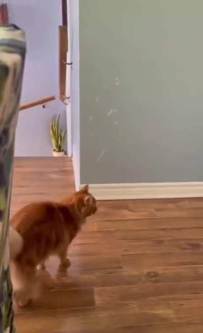 it puffs while he dances!