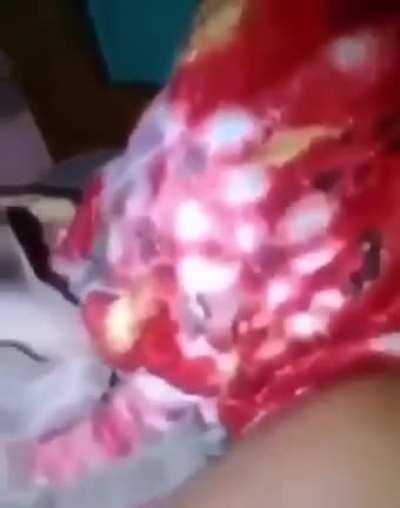 Coitado do gato
