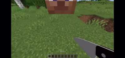 What’s inside a Steve skull?