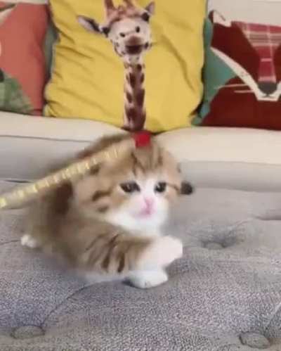 touch tha stick