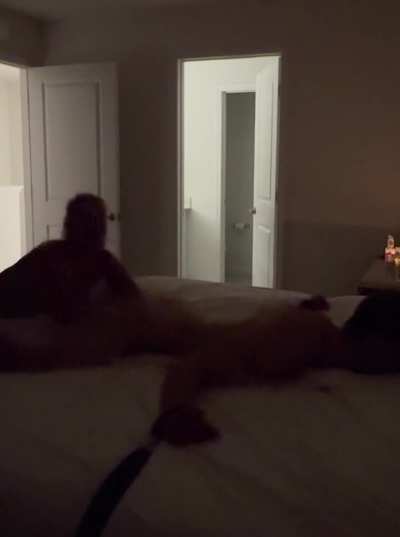 Midnight Tickles