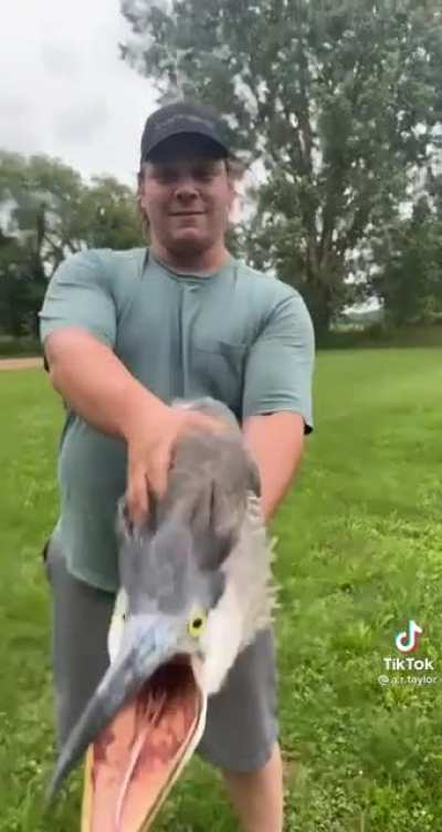 AAA—