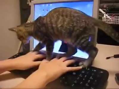 Ну а что, очень удобно...