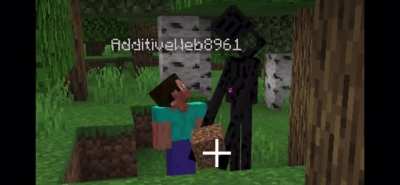 You’re not supposed to look at the enderman
