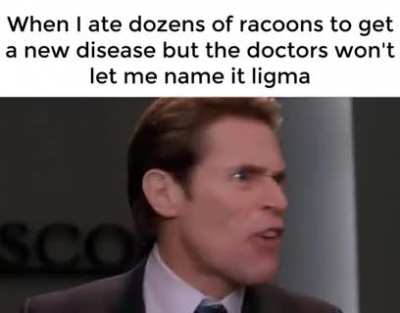 🦝