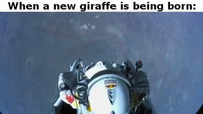 Must be tough