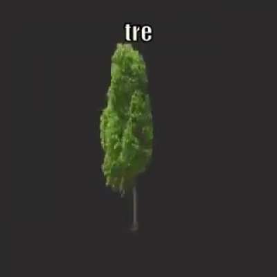 I'm 15 and this is yeet