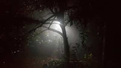 Night time rain..