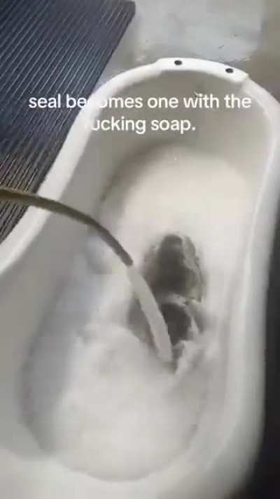 I domt even fuckign car that it’s saturday, none of yoy care about anythgin
