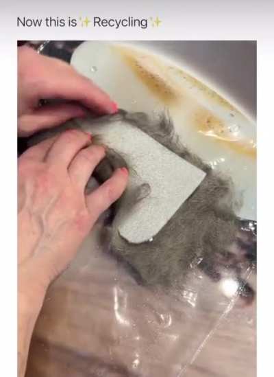 Bruh, just why