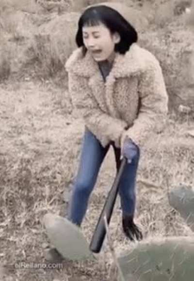 Maybe maybe maybe