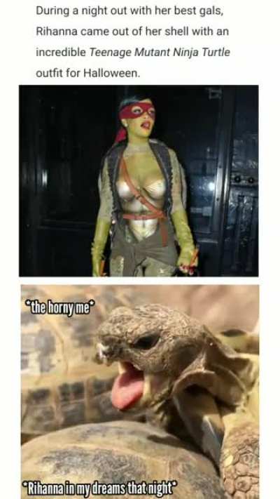 I love turtles!