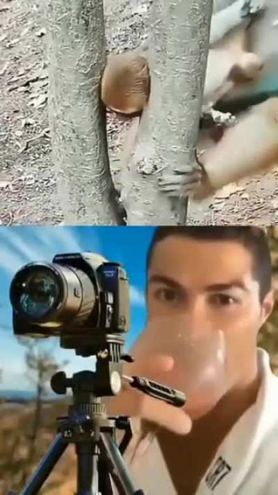 Natinoal geographic