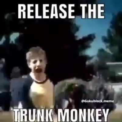 That Funky Monkey