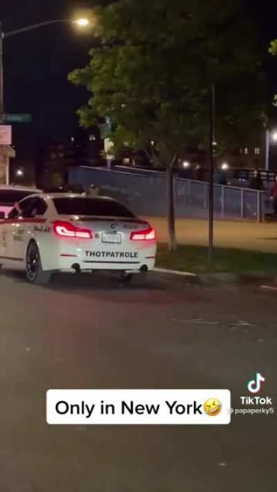 The “Thot Patrole” has shown up in NY