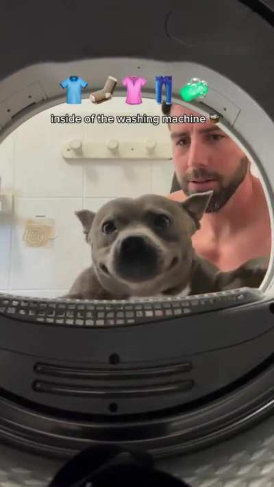 Showing things to a wunk that the wunk has not seen before