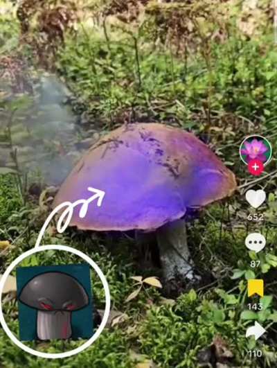 🍄‍🟫