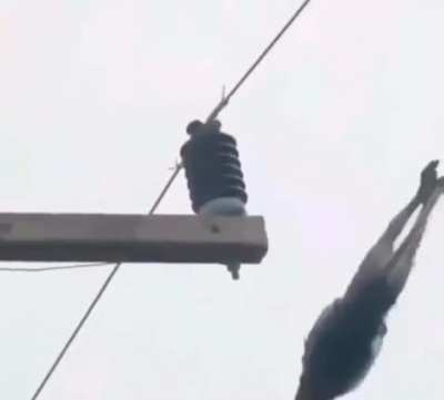 funny monke (don't worry the monkey was fine and this was on a closed course with a trampoline under that post. also may be copyright?? dk)