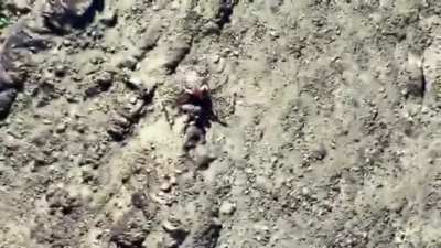 3x BLA militants are targeted by a Pakistan Army DJI Mavic drone dropping a 60mm mortar shell, 05/03/2026, Balochistan Pakistan