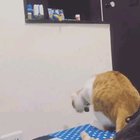 Мама всегда поможет