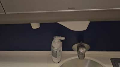 She’s having a good time in the airplane restroom 