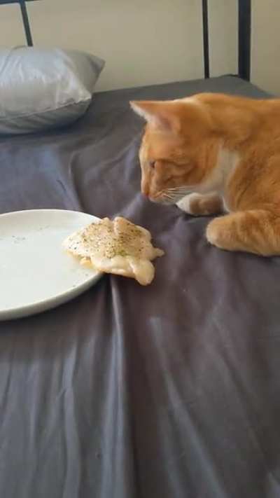 Fishy taps