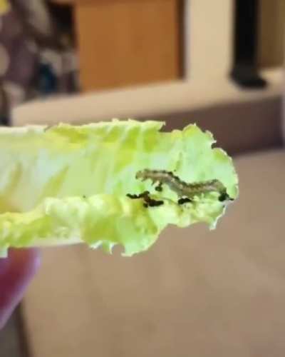 Yum