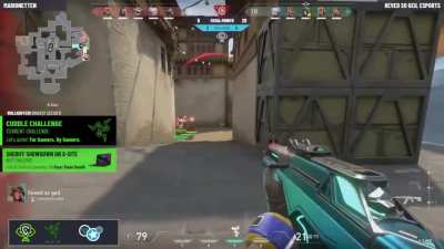 The cuddle challenges from the Valorant Challenge Cup are too wild!
