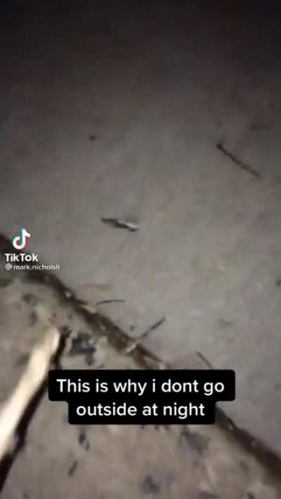 This is why they don't go outside at night