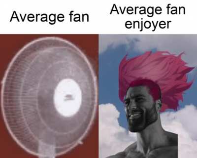 Average fan enjoyer