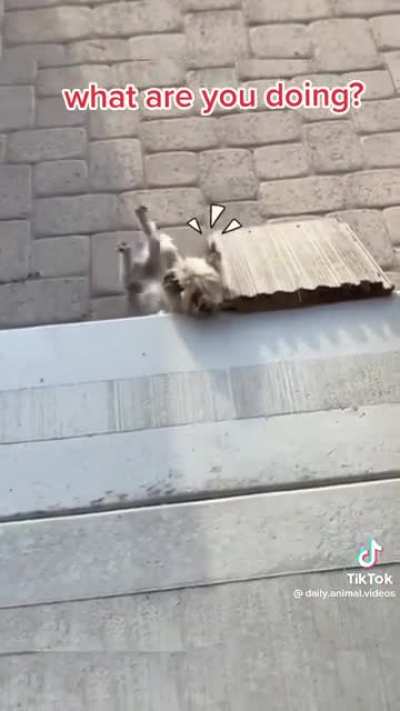 Don't need no stinkin' ramp...