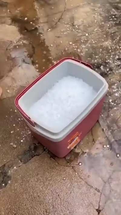 oh, no. A hail storm!