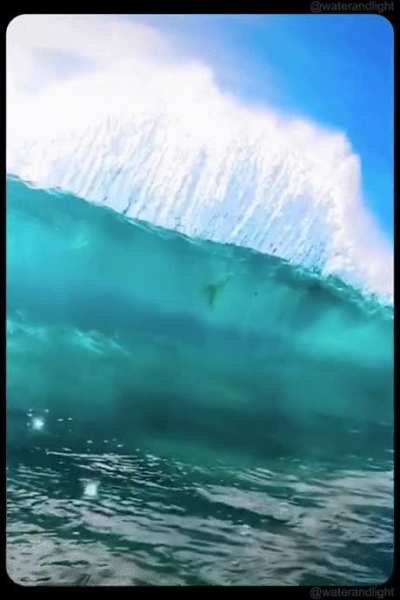 Majestic Wave