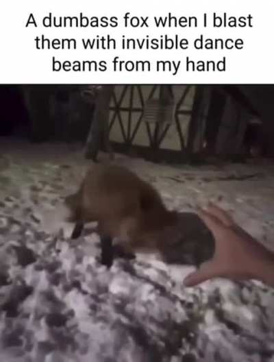 Groovy fox (Ignore the caption I stole it from a shitposting subreddit)